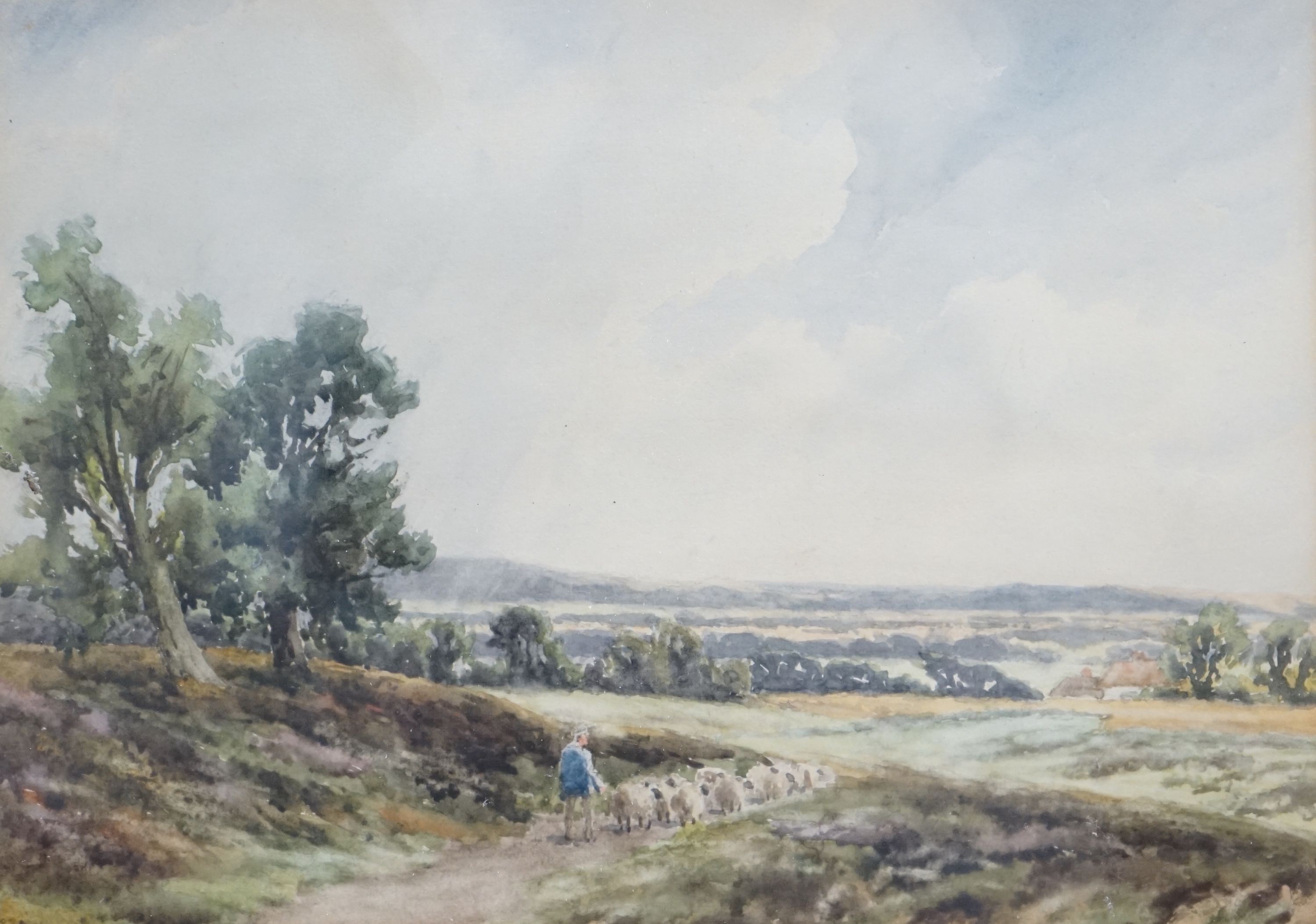 Richard William Halfnight (1855-1925), watercolour, 'A scene in Sussex', artist label verso, 26 x 36cm